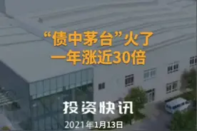 “债中茅台”火了，一年涨近30倍#英科转债#债中茅台视频封面