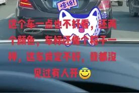不懂就问，这像粽子一样的车标是个啥车，高德让我离它五米以上，有没有认识这个粽子车标的😂#遵守交通规则 #安全出行 