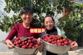 山楂熟了今天全部摘了做糖葫芦吃，酸酸甜甜好吃的很视频封面