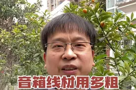 音箱线材用多粗，猫腻太多易疏忽#发烧音响 #科普知识 #家庭影院 #影音室 #私人家庭影院 #音响线材视频封面