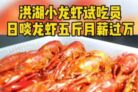 小龙虾试吃员这个职业也太诱人了，请问还招人吗？#奋斗吧青春 #小龙虾 #挡不住的劳动热情 #互联网新职业视频封面