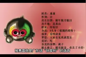 猴赛雷是什么意思？#猴赛雷视频封面