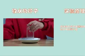 科学小实验-吸水的杯子，空的杯子竟然能提起一个盘子？视频封面
