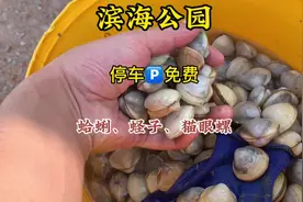 滨海公园，中潮可以过来挖蛤蜊蛏子。喜欢赶海的小伙伴约起来吧💕视频封面