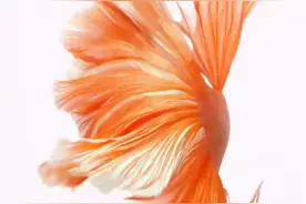 钉 播 修改班级群头像啦，漫威班级来了视频封面