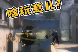 长腿高爆大哥带着李奶奶来敲我家门了~~#csgo整活 #csgo #csgo直播 视频封面