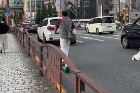 #日本东京 街头偶遇的击鼓小哥，大家觉得可以给多少分呢？#太鼓达人   视频封面