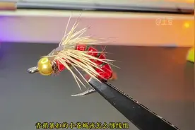 用小苍蝇野钓河流时，可以试试这种沉水系的绑法视频封面