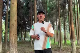 以后遇到小树林，不允许你们不会拍了#手机摄影 #拍摄小技巧视频封面