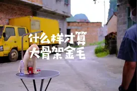 每个人都说自己的金毛是纯种大骨架的，我觉得应该是有人说谎了视频封面