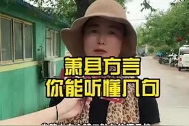 萧县方言你能听懂几句？字幕君已崩溃#一本正经飚方言  #萧县街访 #萧县视频封面
