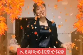 #《桐柏英雄》主题曲视频封面
