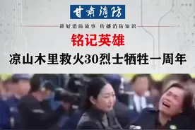 铭记英雄！#凉山木里救火英雄牺牲一周年 #凉山火灾英雄 #灭火勇士周年祭视频封面