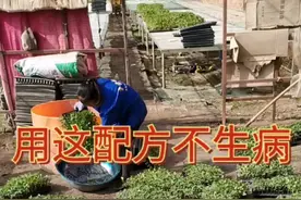 拉根配方收藏转发视频封面