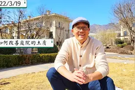 如何改善庭院的土质#园艺#庭院#土质改良#橘子陈#抖音小助手视频封面