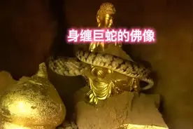 荒野寻宝：两米高的荒草里挖出身缠巨蛇的佛像。#野外生活纪录片