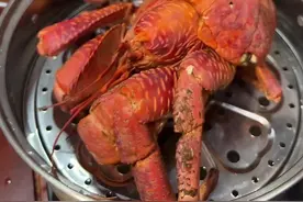椰子蟹的力气真的可以夹断钢管#椰子蟹 #高端食材 #螃蟹🦀视频封面