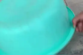 大山里的急救方法，小鸡🐥小鸭受伤了，就是用盆子来摇摇，它会活过来的。不防你们试试。视频封面