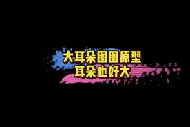 #大耳朵图图原型 《大耳朵图图》图图的原型是导演的儿子，而且这耳朵也是好大啊！😄#娱乐评论大赏视频封面