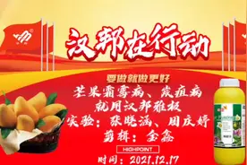雅极防治芒果花期霜霉病，炭疽疫病，药前药后对比明显视频封面