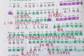 二年级上册语文课堂笔记，第13课《寒号鸟》视频封面