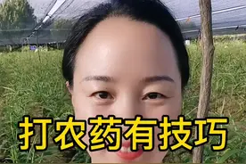 打药有技巧，加醋效果更好#打药 #三农 #农业 #种植 @抖音短视频 视频封面