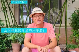 怎么样把院子里的地整肥#园艺#院子#橘子陈视频封面