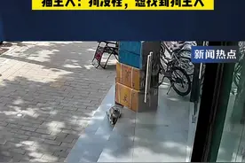 #奶猫蹲家门口遭两只过路大狗撕咬 猫主人：狗没栓，想找到狗主人视频封面