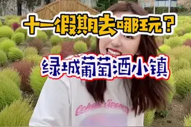 十一假期。葡萄酒小镇，你想来玩吗？#抖音心动餐厅 #十一#周末去哪玩视频封面