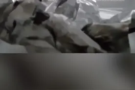 为什么金属不能放进微波炉里？看完这个实验你就明白了。视频封面