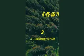 各省市人工森林面积排行榜！看看哪家最爱种树环保造林？恭喜第一名🥇#可视化数据 @抖音短视频 #造林