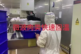 肉类微波快速解冻#中央厨房 #食品加工 #冻品食材 #冷冻食品视频封面