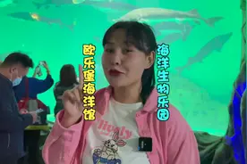 徐州欧乐堡海洋极地世界终于开园啦！里面的动物们真的太可爱了！视频封面