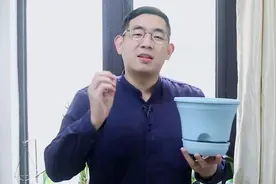 园艺师教你，懒人自动吸水花盆怎么用#花卉 #花盆视频封面