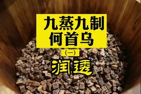 传统中药炮制：九蒸九制何首乌（一）#汉方神农 #九蒸九晒 #传承视频封面