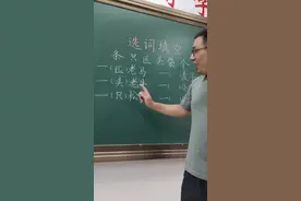 选择量词填空，你发现规律了吗？#学浪计划 #小学语文#期末复习 @DOU+小助手 @抖音短视频视频封面