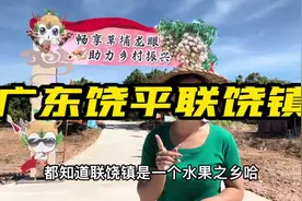 有人说饶平真穷，穷得只剩下海鲜和各种瓜果蔬菜，收又很辛苦视频封面