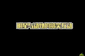 明星与动物的搞笑互动，#郭京飞被一只鹦鹉给调戏了，#黄渤#孙红雷和狗狗神撞脸
视频封面