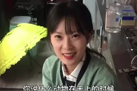 侮辱智商系列视频封面