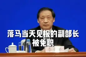 落马当天见报的副部长，被免职视频封面