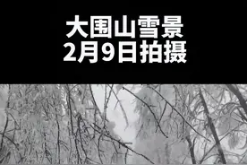 美！今天下午，浏阳大围山国家森林公园雪景。#雾凇美景 #银装素裹 视频封面