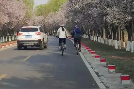 走啊！你骑着单车，我带着相机，我们在黄河大坝紫叶李花大道，一路走一路拍，浪漫至极！伙伴们，不是说好了吗？花开的时候你就来看我！#花开的时候你就来看我 #黄河大坝紫叶李 视频封面