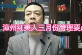 漳州红美人三月管理要点#农业种植 #心系三农服务三农 #农资人视频封面