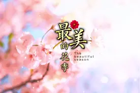 杨烁《最美的花季》送给最美的你！#儿童励志歌曲 #好歌推荐视频封面