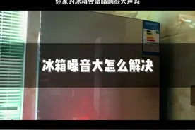 你家里的冰箱会发出很大声的嗡嗡声音吗视频封面