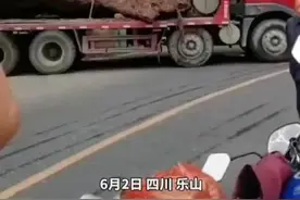 四川乐山一地挖出疑似乌木，目前已移交政府处理！#乌木 #金丝楠木 #四川 视频封面