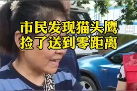 市民捡到猫头鹰，送到零距离！#江苏全民目击视频封面
