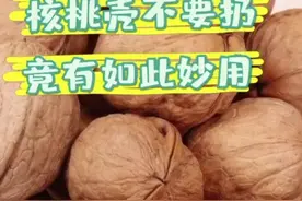 核桃皮功效视频封面