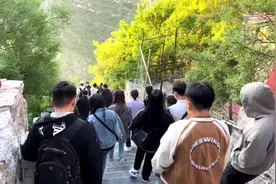 抱犊寨不让夜爬了，想看日出的得凌晨4点开始爬