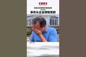 #歙县3000吨茶叶被泡后续，8月13日，茶农从企业领取茶款视频封面
